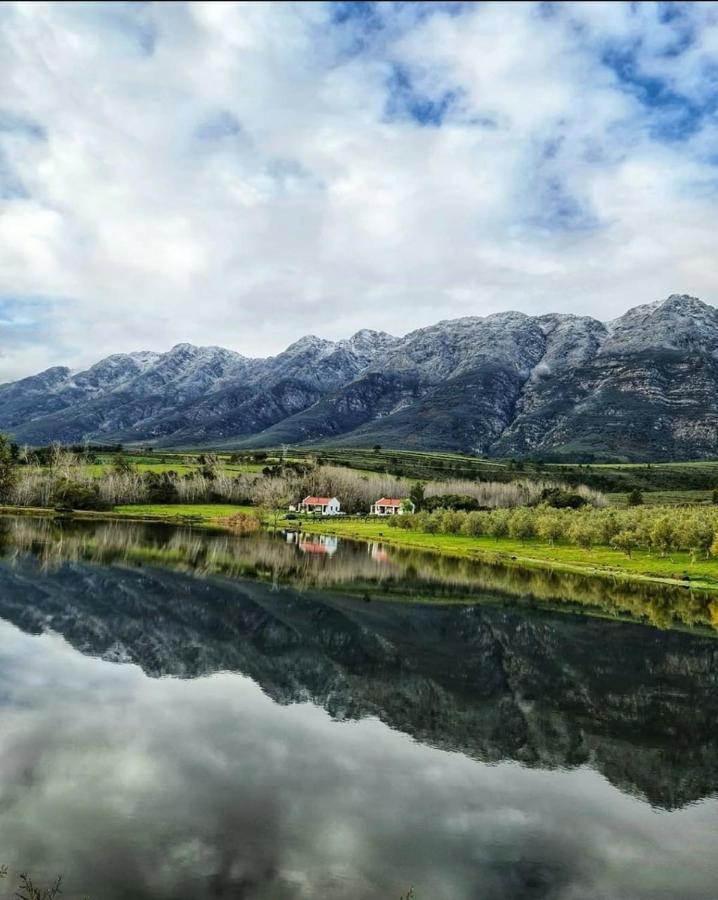 Fraaigelegen Farm - Home Of Adhara Evoo 图尔巴 外观 照片