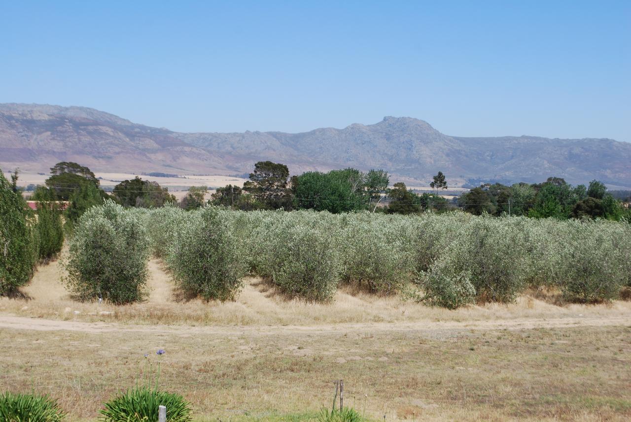 Fraaigelegen Farm - Home Of Adhara Evoo 图尔巴 外观 照片