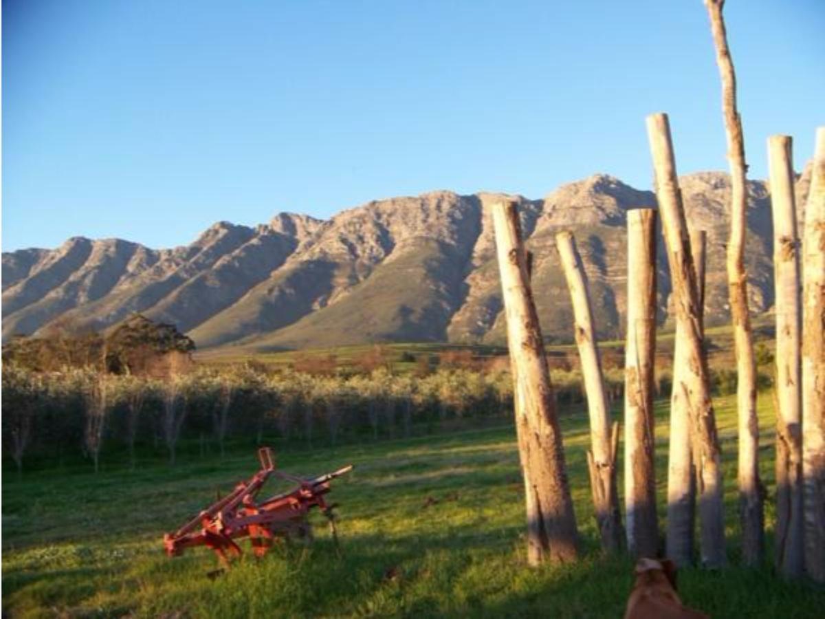 Fraaigelegen Farm - Home Of Adhara Evoo 图尔巴 外观 照片