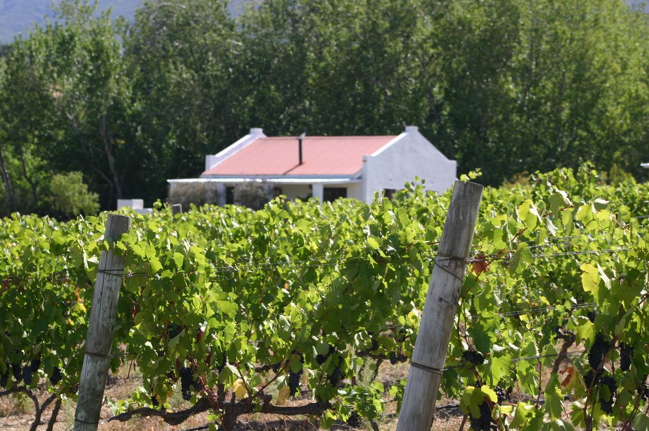 Fraaigelegen Farm - Home Of Adhara Evoo 图尔巴 外观 照片