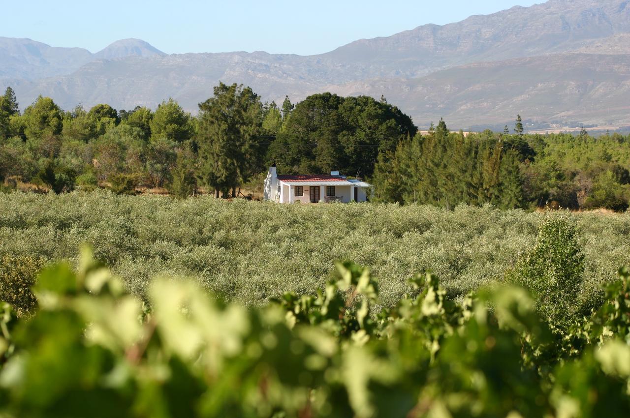 Fraaigelegen Farm - Home Of Adhara Evoo 图尔巴 外观 照片