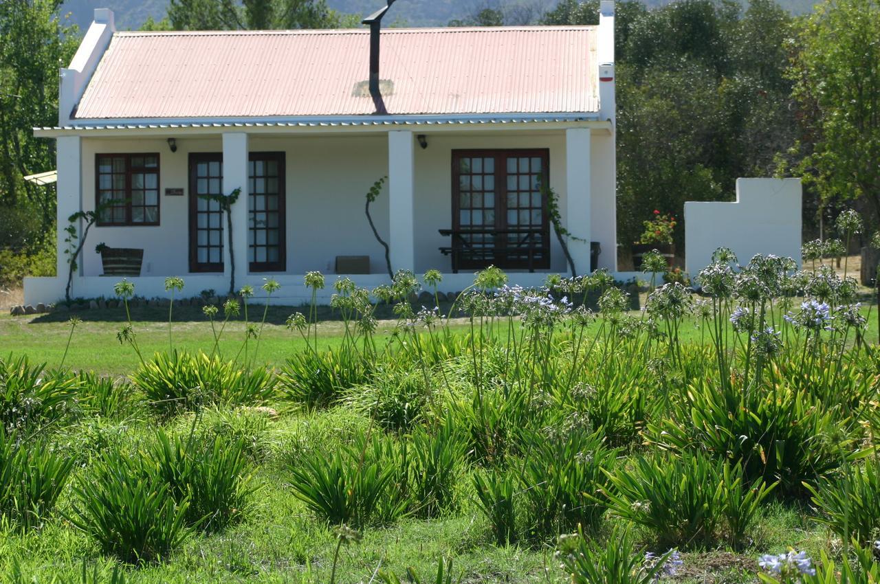 Fraaigelegen Farm - Home Of Adhara Evoo 图尔巴 外观 照片