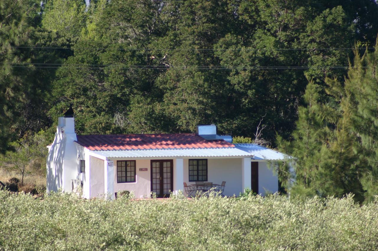 Fraaigelegen Farm - Home Of Adhara Evoo 图尔巴 外观 照片