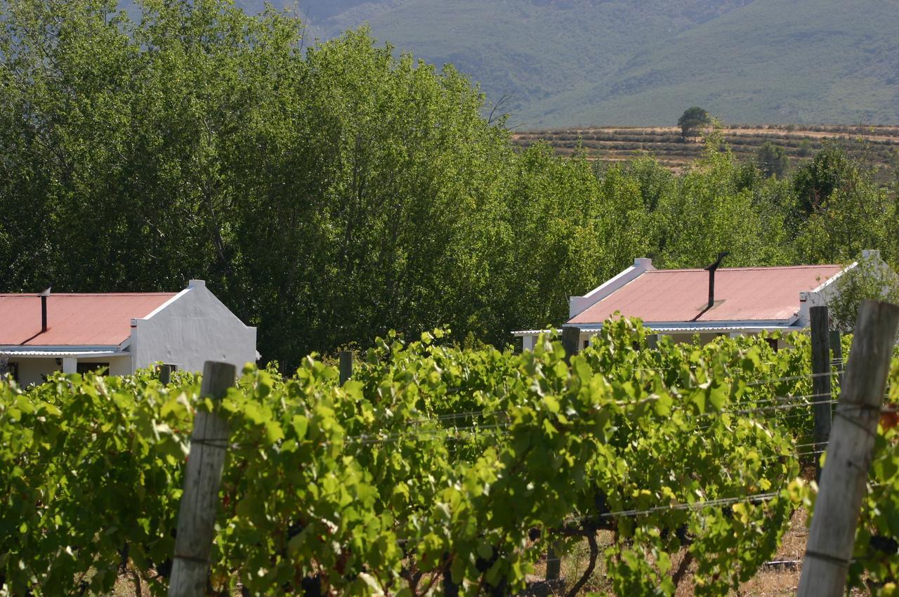 Fraaigelegen Farm - Home Of Adhara Evoo 图尔巴 外观 照片