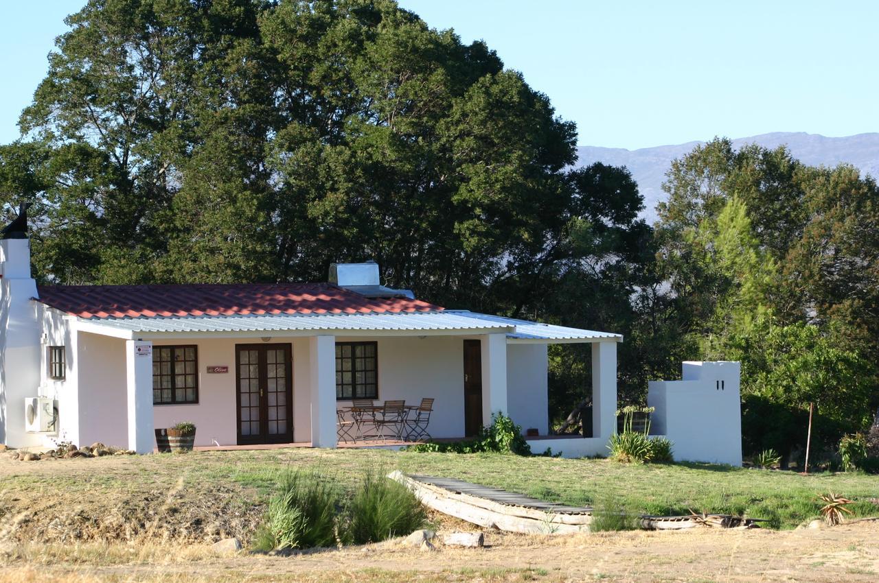 Fraaigelegen Farm - Home Of Adhara Evoo 图尔巴 外观 照片