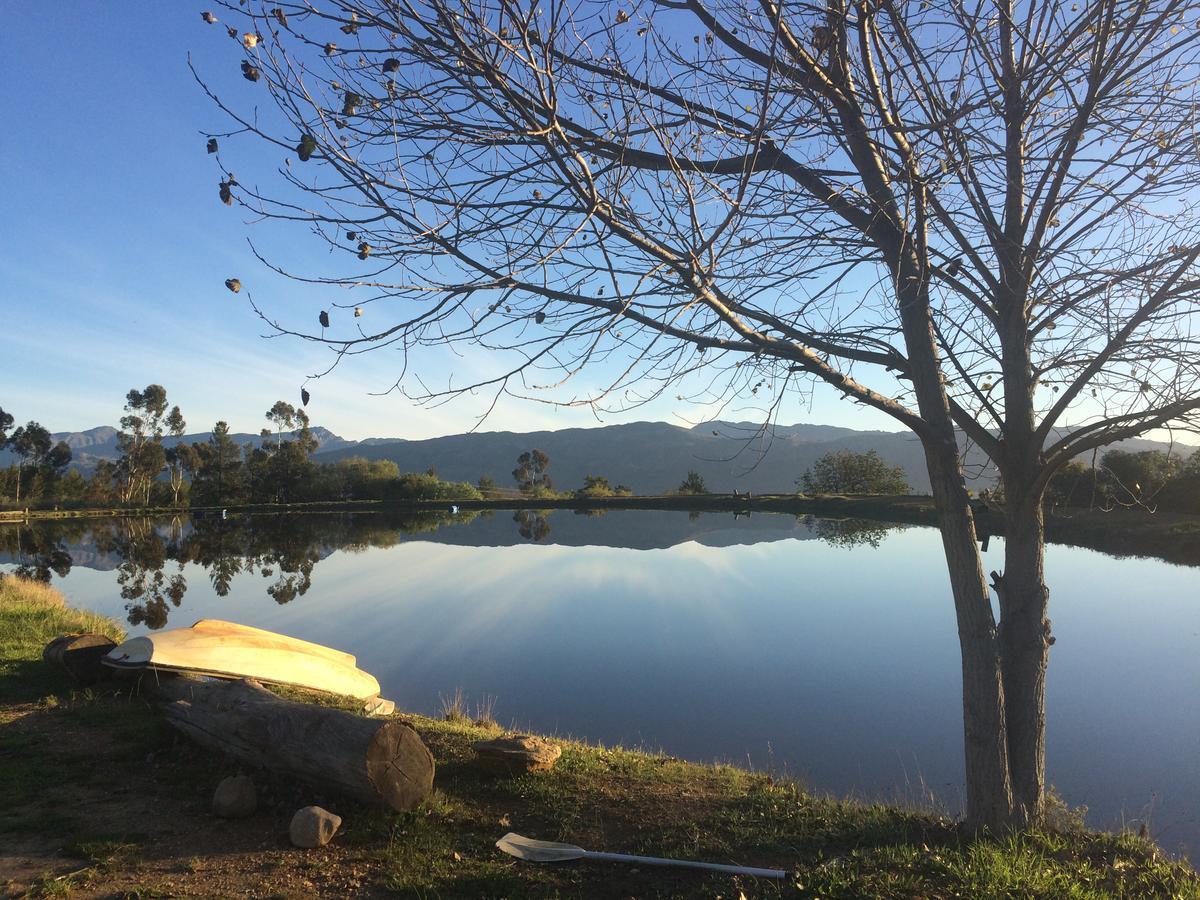 Fraaigelegen Farm - Home Of Adhara Evoo 图尔巴 外观 照片