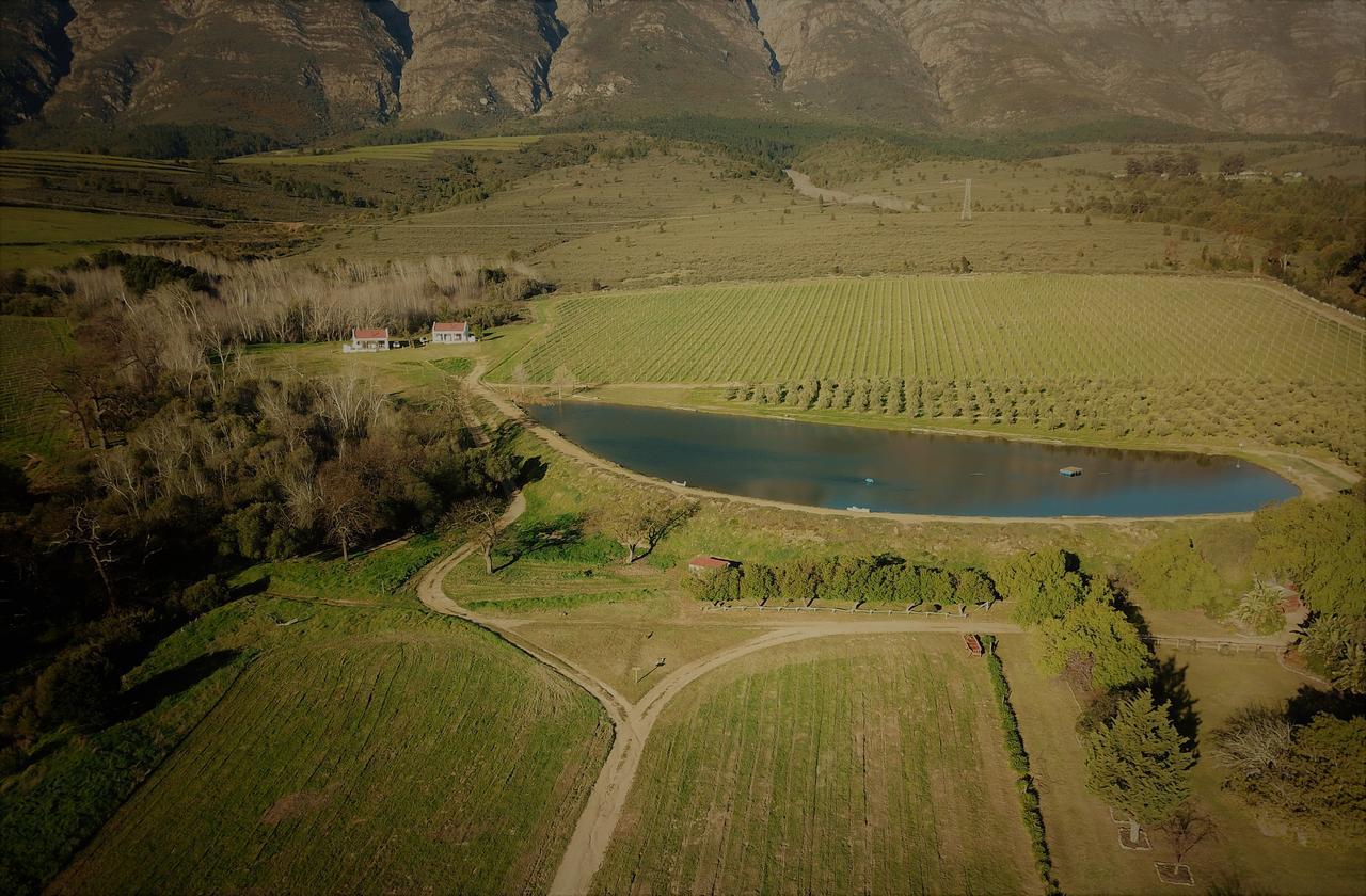 Fraaigelegen Farm - Home Of Adhara Evoo 图尔巴 外观 照片