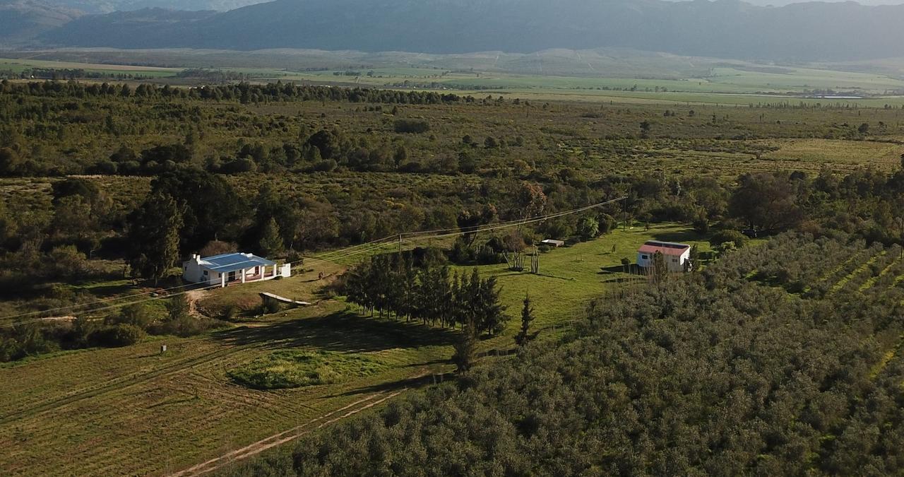 Fraaigelegen Farm - Home Of Adhara Evoo 图尔巴 外观 照片