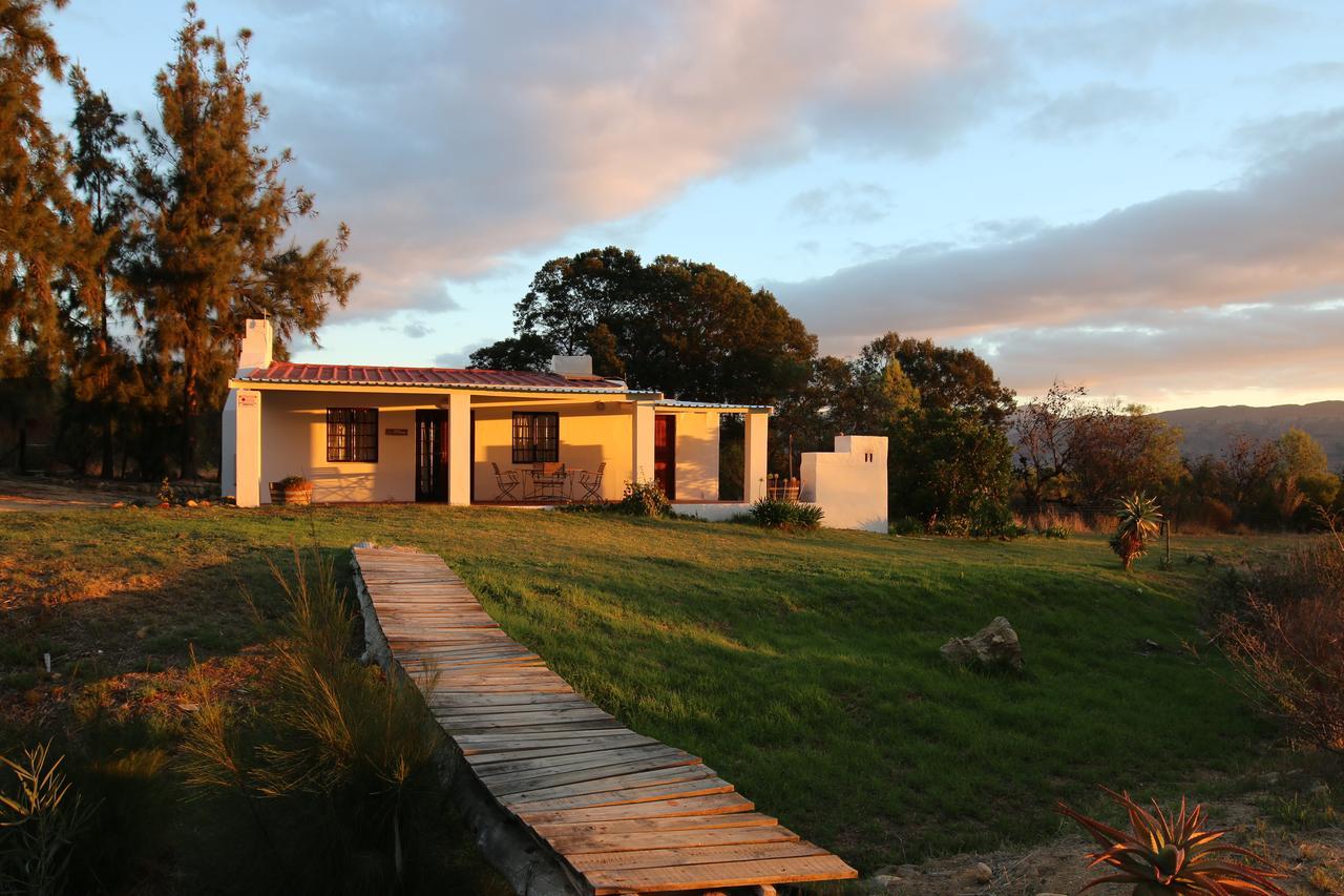 Fraaigelegen Farm - Home Of Adhara Evoo 图尔巴 外观 照片
