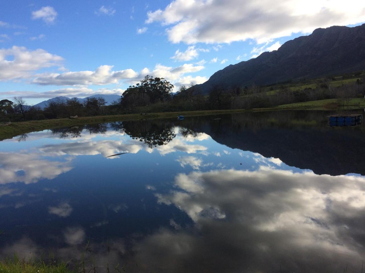 Fraaigelegen Farm - Home Of Adhara Evoo 图尔巴 外观 照片