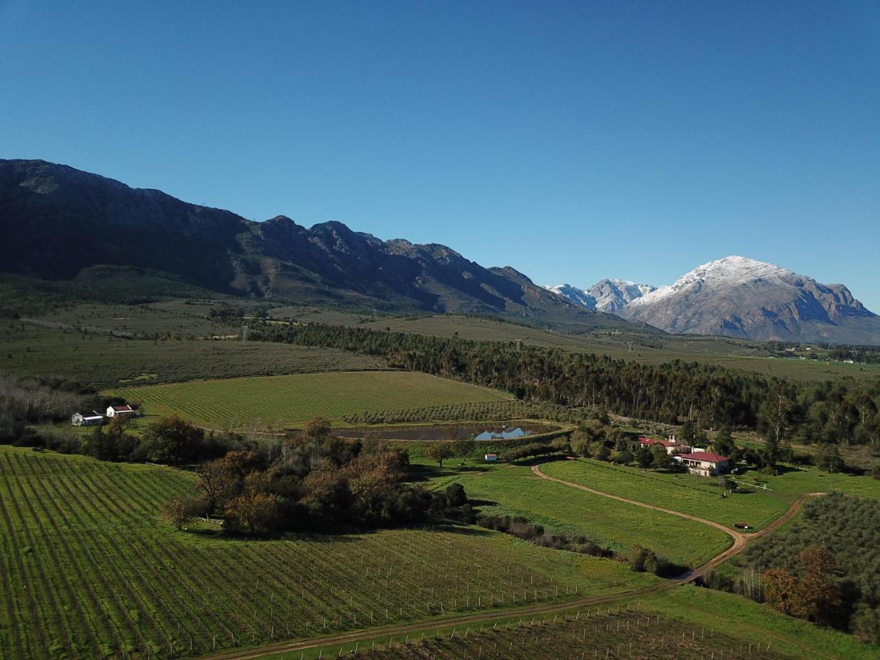 Fraaigelegen Farm - Home Of Adhara Evoo 图尔巴 外观 照片